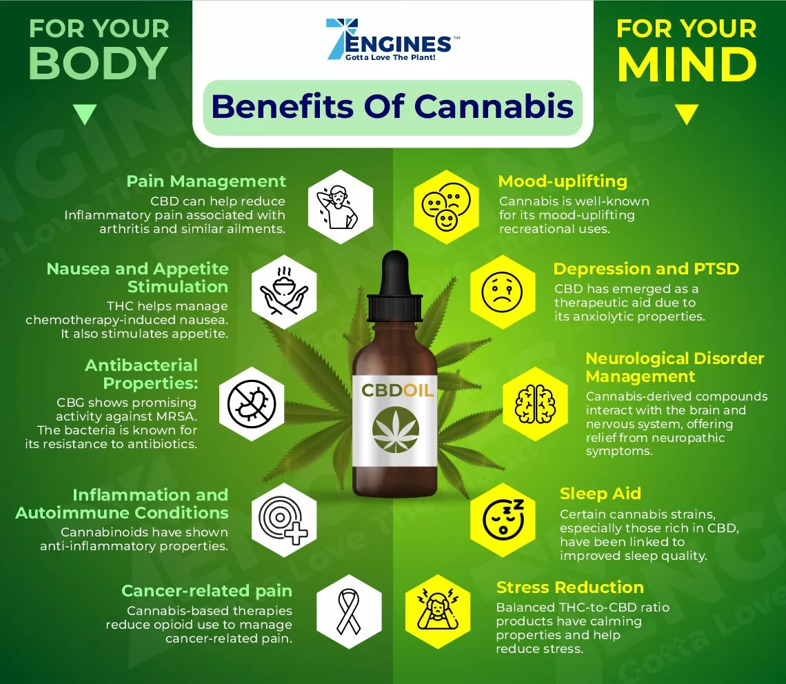 Infographic showcasing the physical and psychological positive effects of marijuana products