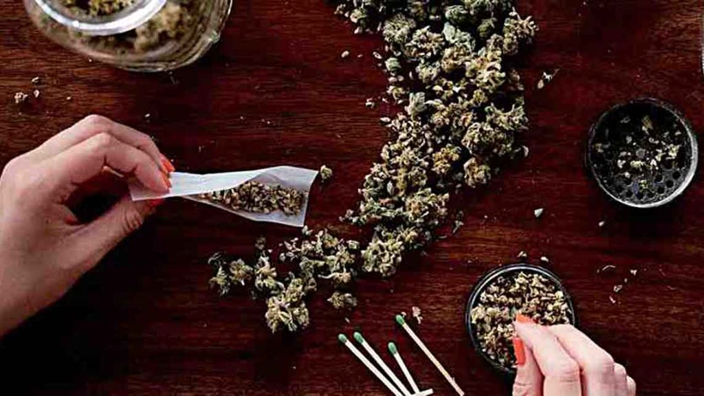 Cannabis flower on the table and a person rolling a joint
