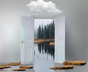 Open doors showing a beautiful landscape. Abstract image