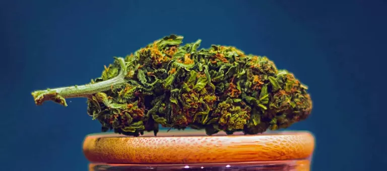 Top Ten Cannabis Strains EVER!