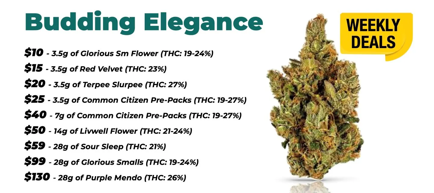 Budding Elegance Weekly Deals 10$ for 3.5 grams of Glorious SM Flower (THC 19-24%) 15$ for 3.5 grams Red Velvet (THC 23%) 20$ for 3.5 grams Terpee Slurpee (THC 27%) 25$ for 3.5 grams of Common Citizen (THC 19-27%) 40$ for 7 grams of Common Citizen 50$ for 14 grams Livwell Flower (THC 21-24%) 59$ for 28 grams Sour Sleep (THC 21%) 99$ for 28 grams of Glorious Smalls (19-24%) 130$ for 28 grams of Purple Mendo