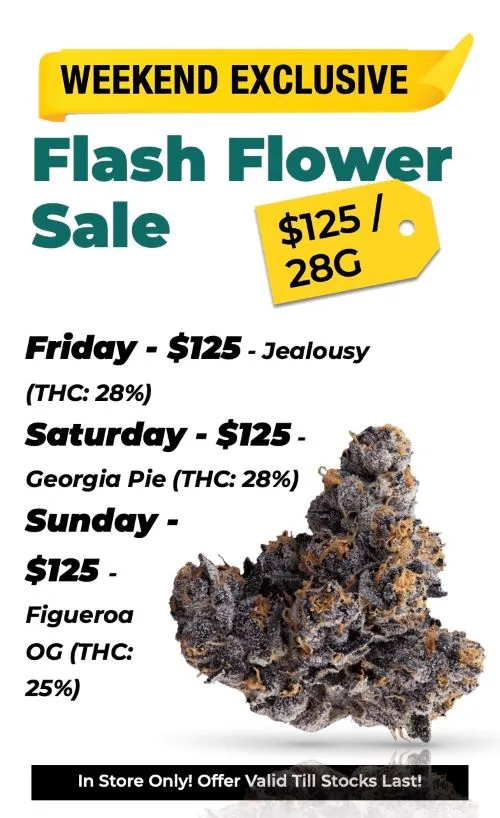 Weekend Exclusive Flash Flower Sale 125$ for 28 grams Friday - 125$ for Jealousy of THC 28% Saturday - 125$ for Georgia Pie of THC 28% Sunday - 125$ for Figueroa OG of THC 25%