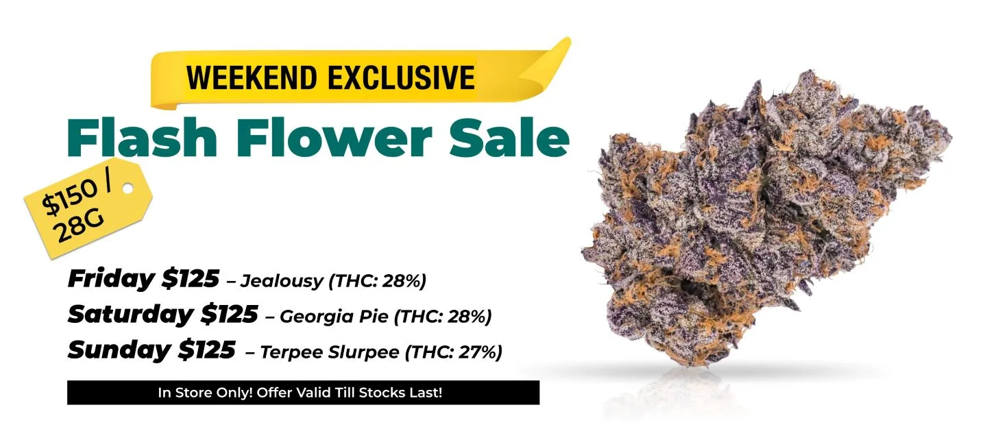 Weekend exclusive flash flower sale 150$ for 28 grams Friday - Jealousy THC 28% Saturday - Goergia Pie THC 28% Sunday Terpee Slurpee THC 27%