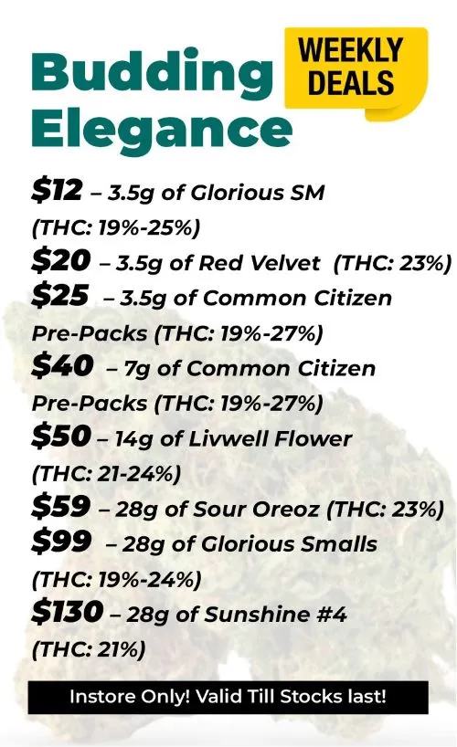 Weekly Deals Budding Elegance Glorious SM 3,5 gram (THC 19-25%) - 12$ Red Velvet 3.5 grams (THC 23%) - 20$ Common Citizen 3.5 grams (THC 19-27%) - 25$ Livwell Flower 14 grams (THC 21-24%) - 50$ Sour Oreoz 28 grams (THC 23%) - 59$ Glorious Smalls 28 grams (THC 19-24%) - 99$ Sunshine #4 28 grams (THC 21%) - 130$