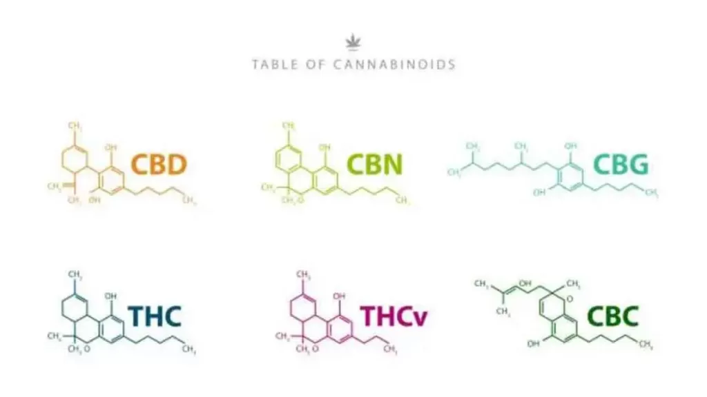 Illustration of chemical composition of various strains of marijuana