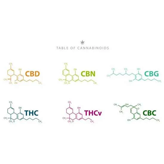 Chemical composition structure of THC, CBD and other cannabinoids