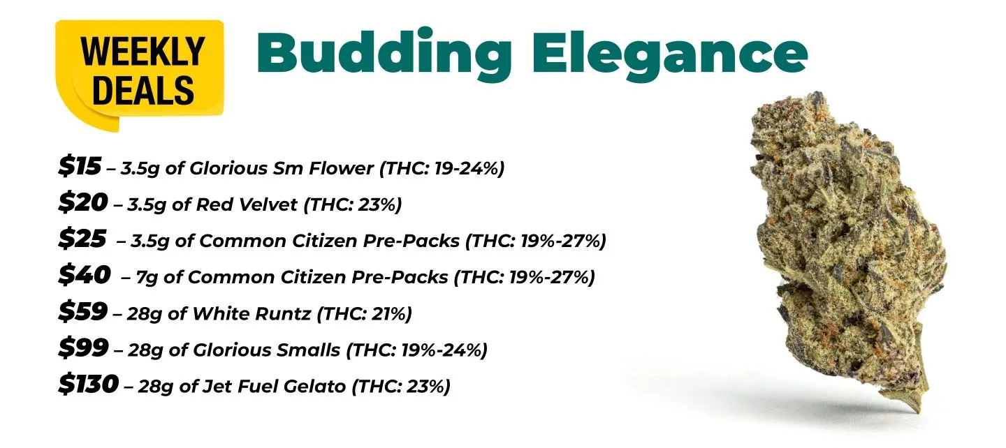 Weekly Deals - Budding Elegance 3.5 grams Glorious Sm Flower *THC 19-24%) - 15$ 3.5 grams Red Velvet (THC 23%) - 20$ 3.5 grams Common Citizen Pre-Packs (THC 19-27%) - 25$ 7 grams of Common Citizen Pre-Packs (THC 19 to 27%) - 40$ 28 grams of White Runtz (THC 21%) - 59$ 28 grams Glorious Smalls (THC 19-24%) - 99$ 28 grams Jet Fuel Gelato (THC 23%) - 130$