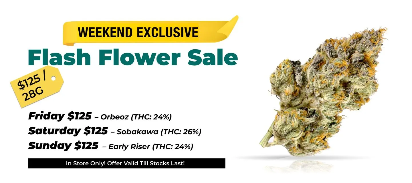 Weekend exclusive Flash Flower Sale! 125$ for 28 grams Friday - Orbeoz (THC 24%) Saturday - Sobakawa (THC 26%) Sunday - Early Riser (THC 24%)