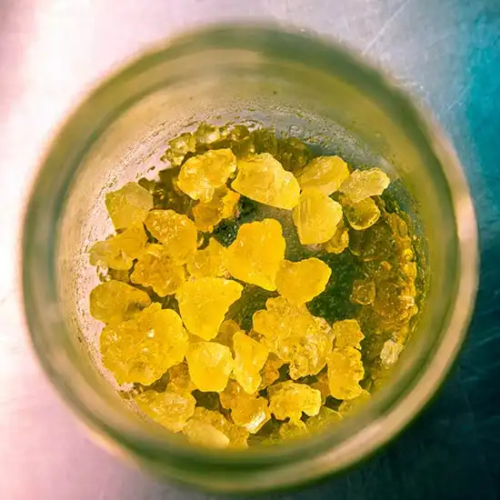 Cannabis concentrate in a small container. Concentrates and oils are celebrated on Oil Day 710.