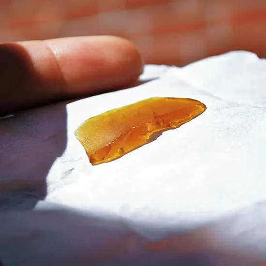 Cannabis shatter on a white surface.