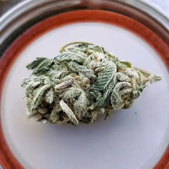 A strong cannabis strain bud on a saucer