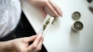 Hands rolling a joint