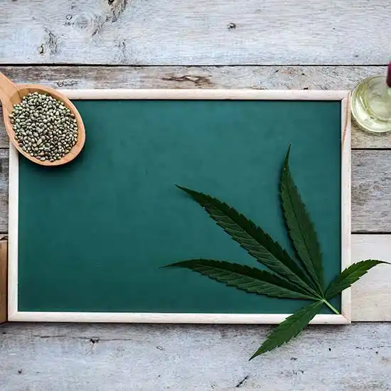 Cannabis seeds, leaf and oil