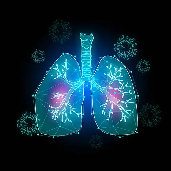 Infographic showing inflammation in lungs