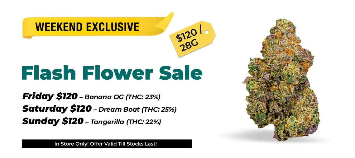 Weekend exclusive - Flash flower sale Friday $120 – Banana OG (THC: 23%) Saturday $120 – Dream Boat (THC: 25%) Sunday $120 – Tangerilla (THC: 22%)