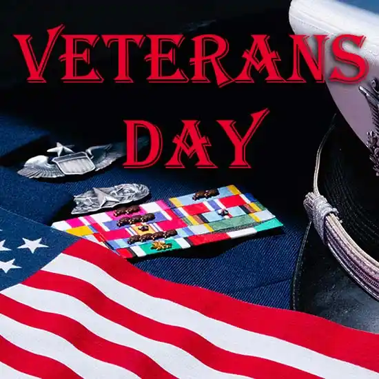 Veterans day soldier banner