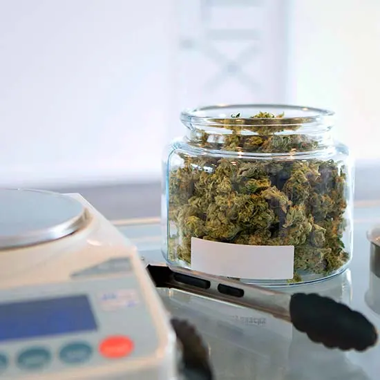 jar of cannabis with weighing scale